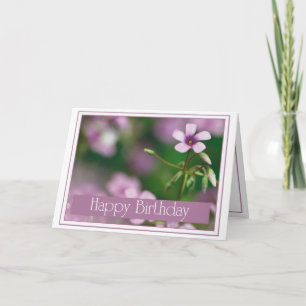 Birthday - Pink Wood Sorrel Greeting Card