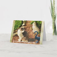 Birthday Planning takes a village, cats & friends