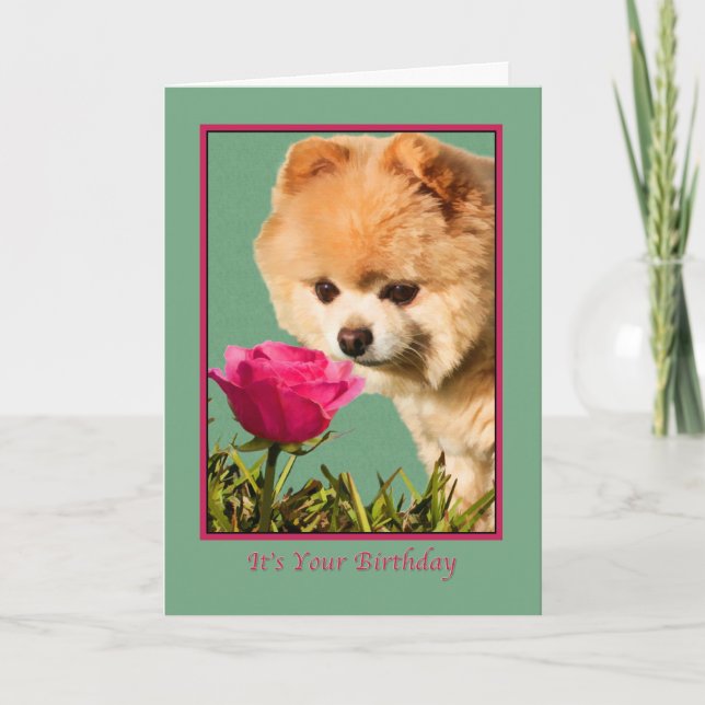 Birthday, Pomeranian Dog and Rose Card (Front)