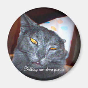 Birthday Pooper Magnet