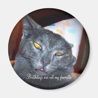 Birthday Pooper Magnet