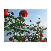 Birthday Postcard