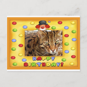 Birthday Postcard Bengal Cat