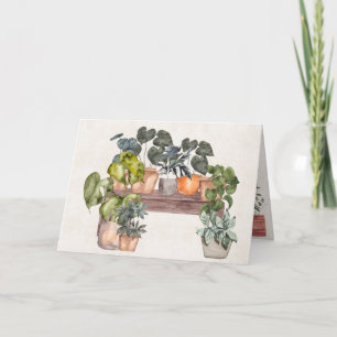 Birthday Potted Plants On Bench Card
