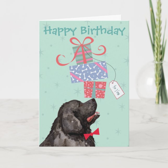 Birthday Presents Newfoundland Card (Front)