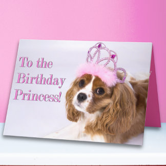 Birthday Princess Cavalier King Charles Card