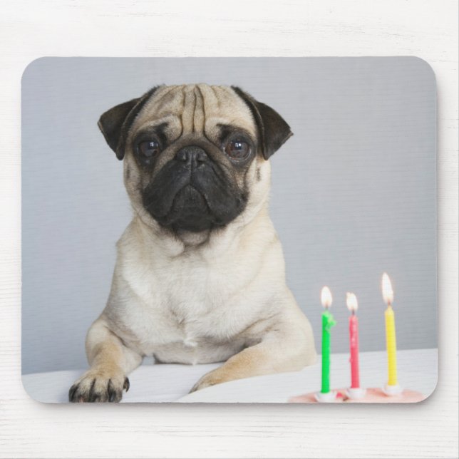 Birthday Pug Mouse Pad (Front)