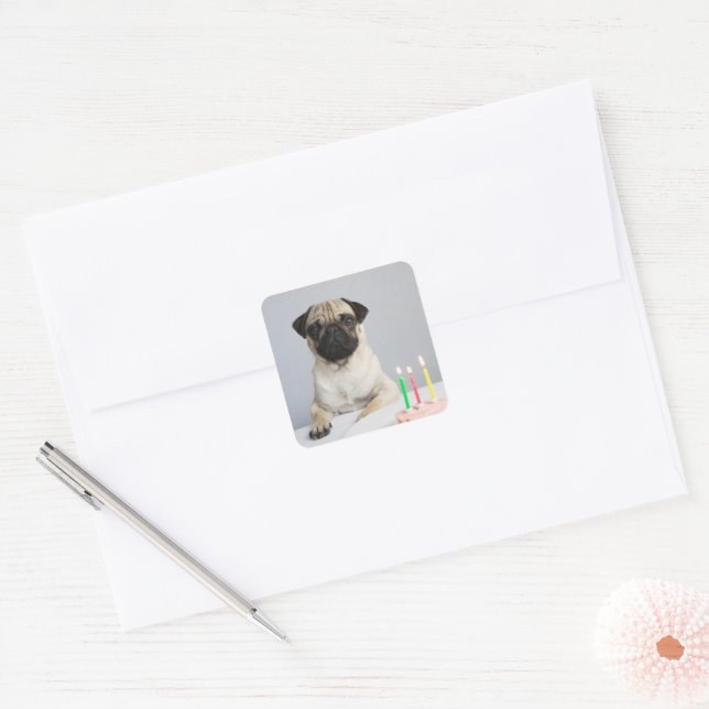 Birthday Pug Square Sticker (Envelope)