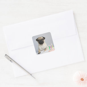 Birthday Pug Square Sticker