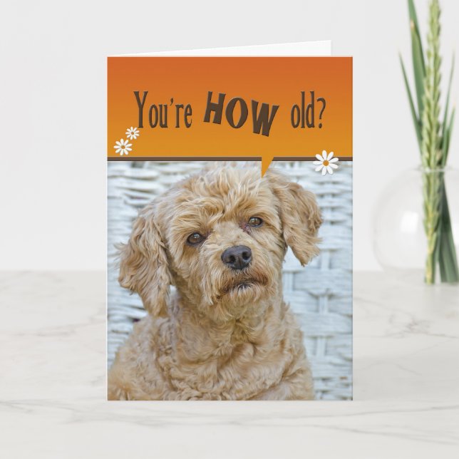 Birthday Pup Card (Front)