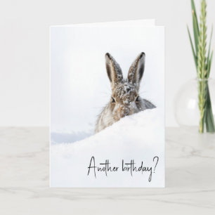 Birthday Rabbit Peeking Over a Snowdrift Card