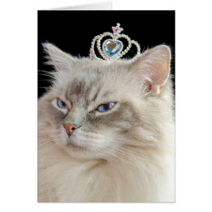 Birthday Ragdoll Cat with jewelled crown