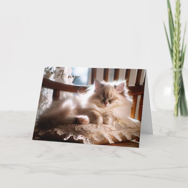 Birthday Ragdoll Kitten On Pillow Card (Front)
