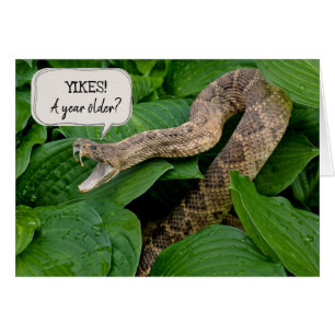 birthday rattlesnake in plant