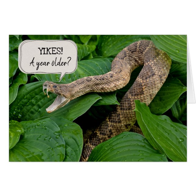 birthday rattlesnake in plant (Front Horizontal)