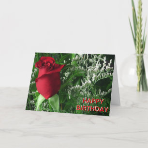 Birthday Red Rose Bud Card
