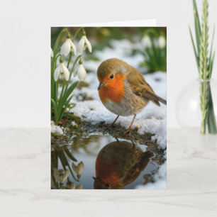 Birthday Robin with Snowdrops Card