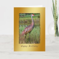 Birthday, Sandhill Crane Bird