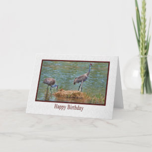 Birthday, Sandhill Crane Family Card