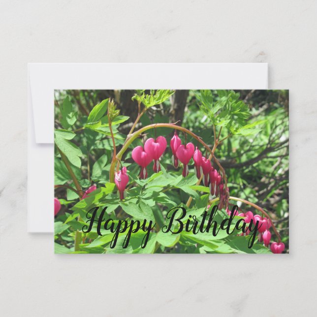 Birthday Script Pink Bleeding Hearts Flower Photo (Front)