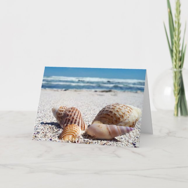 BIRTHDAY SEASHELLS BEACH TROPICAL GREETING CARDS (Front)