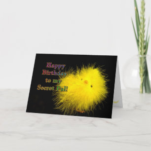 Birthday - Secret Pal - Cool Chick Card
