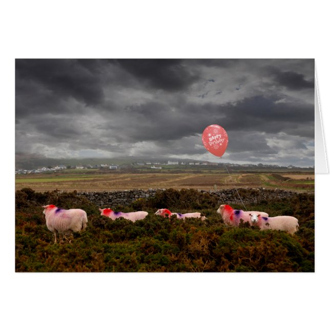 Birthday sheep (Front Horizontal)