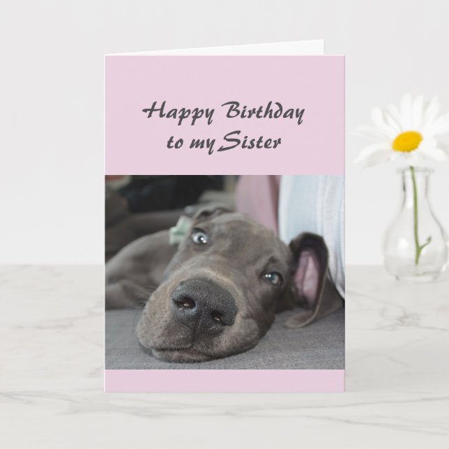 Birthday Sister Fun Dog definition of Relax Humor Card (Small Plant)