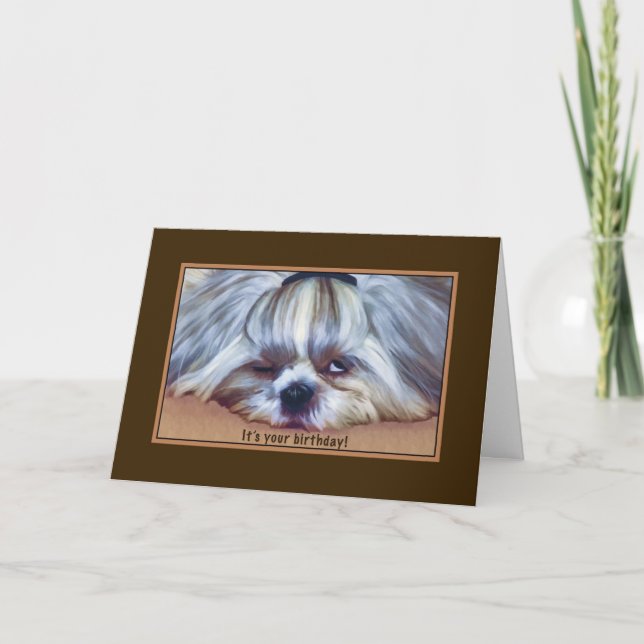 Birthday, , Sleepy Shih Tzu Dog Card (Front)