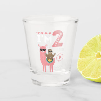 Birthday Sloth Shot Glass Tumbler | Mug Gifts 