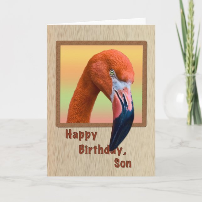 Birthday, Son, Flamingo Bird Card (Front)