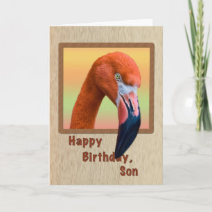 Birthday, Son, Flamingo Bird Card