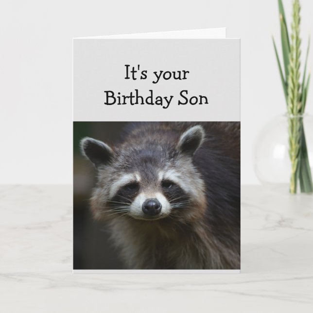 Birthday  Son Fun Age Humour Sad Racoon Humour Car Card (Front)