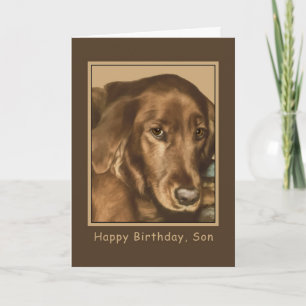 Birthday, Son, Golden Irish Dog Card