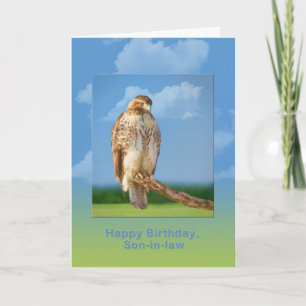 Birthday, Son-in-law, Rough Legged Hawk Bird Card