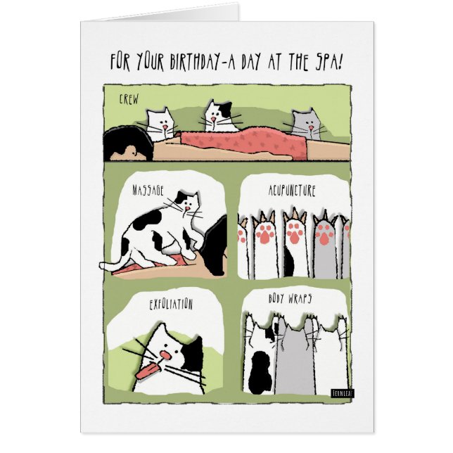 Birthday Spa Treatments with Cats (Front)