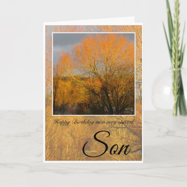 Birthday, Special Son,  Sunkissed Winter Trees. Card (Front)