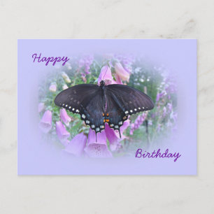 Birthday Spicebush Swallowtail Butterfly Postcard