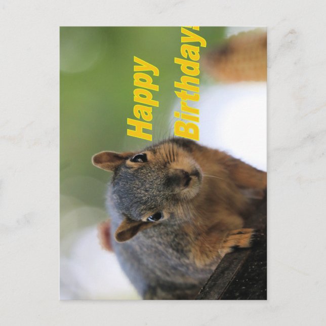 Birthday squirrel  postcard (Front)