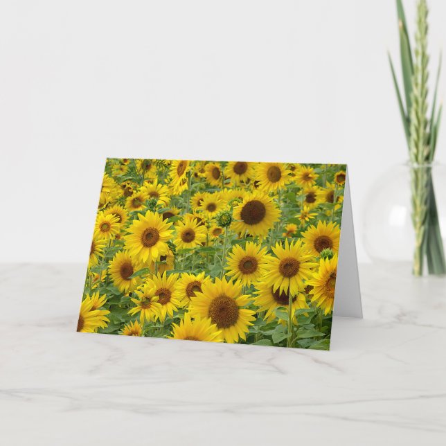 Birthday Sunflower Field Card (Front)