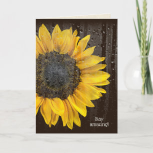 Birthday Sunflower with Raindrops Card