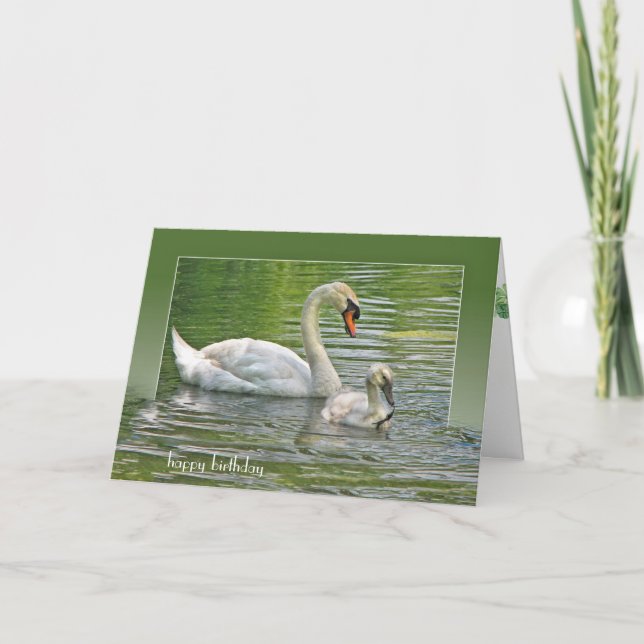 birthday swan with cygnet in pond card (Front)