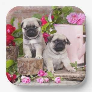 Birthday Sweet Baby Pugs Floral Party Paper Plate