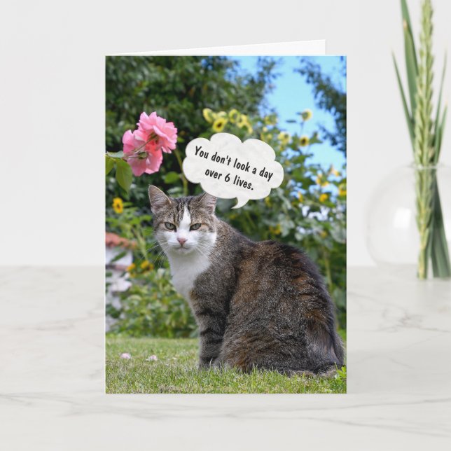 Birthday Tabby Cat Card (Front)