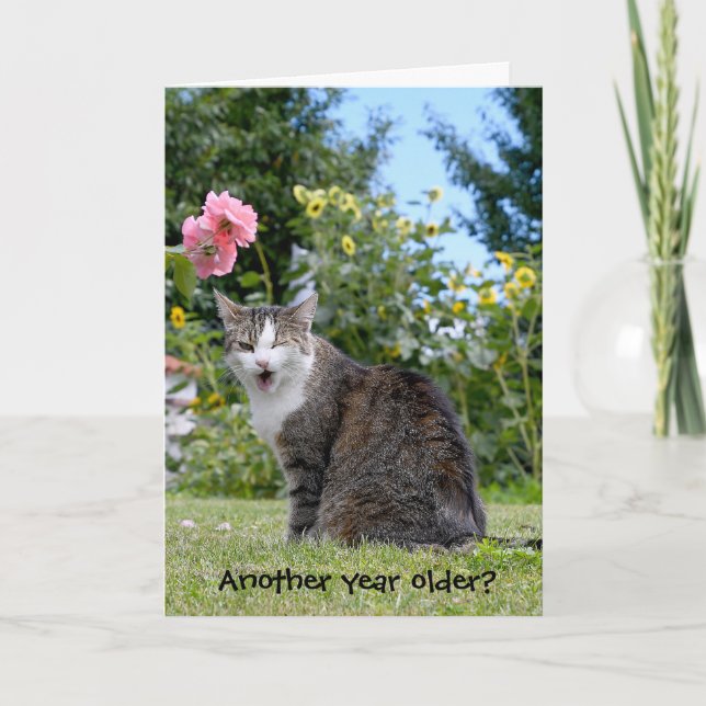 birthday tabby cat card (Front)