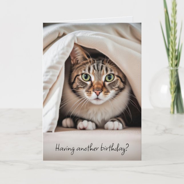 Birthday Tabby Cat Getting Old Humour Card (Front)