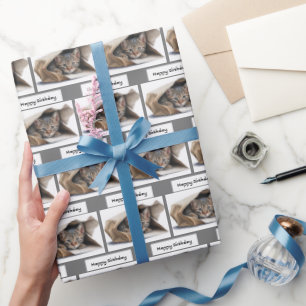 Birthday Tabby Cat in Paper Bag