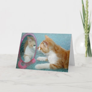 Birthday Tabby Cat Looking In a Mirror Card