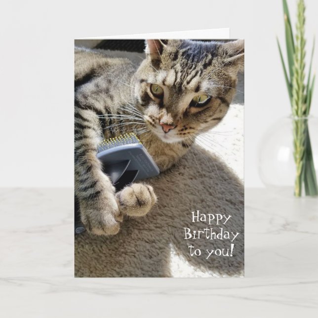 birthday tabby cat with brush card (Front)