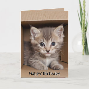 Birthday Tabby Kitten In Carboard Box Card